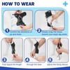 Dog Knuckling Brace Wrap for Hyperflexion of Phalanges Cause by