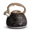 Poliviar JX2018-MS20-DE modern induction kettle, stainless steel whistling kettle, tea