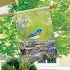 MagnetWorks MAIL91272 Meadow Bluebird Standard Flag