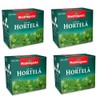 Cha de Hortela - Mint Tea for Oral Health Bad
