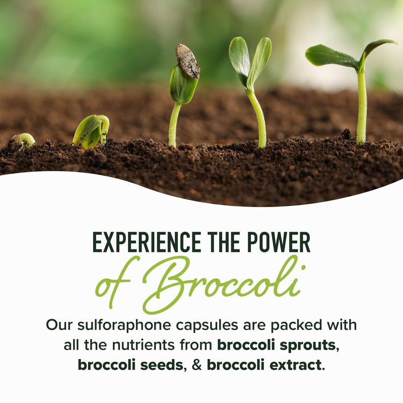 50MG Sulforaphane Supplement from Broccoli Sprouts | NRF2 Activation, Cellular