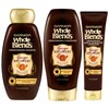 Garnier Hair Care Whole Blends Strengthening Ginger Recovery Conditioner, 12.5