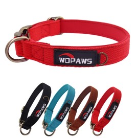 WDPAWS Dog Collar Polyester Cotton Webbing with Neoprene Inner Quick Release Bronze-Colored Buckle for Large Dogs (Red, L)