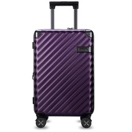 LUGGEX Luggage with Spinner Wheels, Polycarbonate Expandable Hard Shell Suitcase, Carry On 20 Inch, Purple