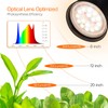 Bstrip 4-Head LED Grow Light with Stand for Indoor Plants,