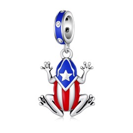Zunxinsan Puerto Rico Souvenirs Charm 925 Sterling Silver Coqui Frog Puerto Rico Charms Puerto Rico Jewelry Gifts for Women