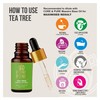 CORE & PURE Tea Tree Grade-A, Essential Oil |Natural, Potent|