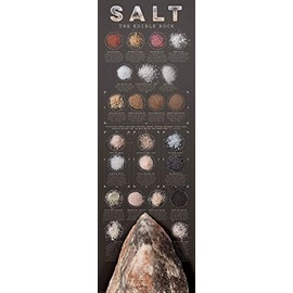 First Art Source Laminated Salt The Edible Rock by Ziegler & Keating Kitchen Cooking Print Poster 12x36