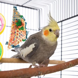 Parrot Essentials Colourful Foraging Pouch - Chewable, Natural Bird Enrichment Toy for Parrots