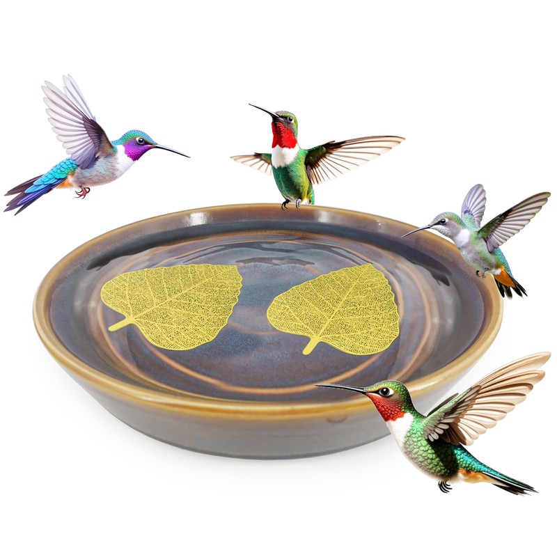 RONDURE 2 pcs Bird Bath Purification Disk Copper 4 Inch