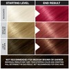 Jerome Russell Punky Color de Cabello Acondicionador Semi-Permanente, Cherry on
