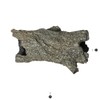 Starpet Tunnel Driftwood Log S