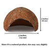JOR Axolotl Cave, Coconut Shell Hideout and Resting Tunnel, Shelter