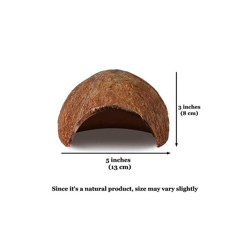 JOR Axolotl Cave, Coconut Shell Hideout and Resting Tunnel, Shelter
