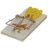 JT Eaton Little Bigfoot Mouse Snap Trap with Expanded Trigger,