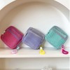 Makeup Pouch, Storage Pouch, Set of 2, Mesh Material, Lightweight,