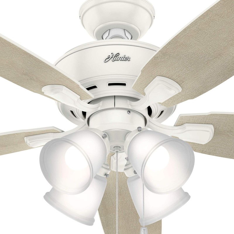 Hunter 52 inch Indoor Ceiling Fan with LED Lights -