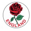 English Rose Car Bumper Sticker