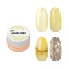 Aqua Clear カラージェル ジェルネイル ネイルジェル アートジェル ジェルネイル用品 ＜ネイル工房公式＞ (【AquaClear】【コンテナ★01】, 3g)