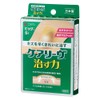 Nichivan Home Wound Pad Care Liv Healing Power Big Size