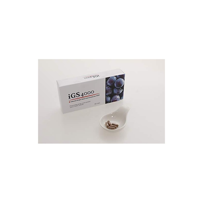 iGS4000