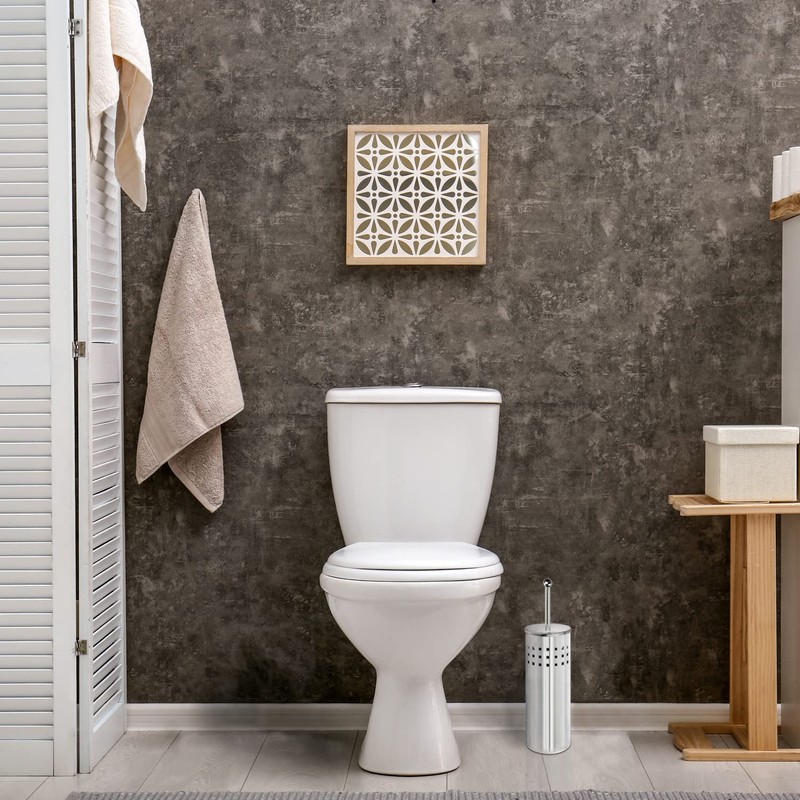 Blue Donuts Toilet Plunger with Holder for Bathroom, Multi Drain