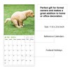 Gag Gifts - 2024 Wall Calendar, White Elephants Gifts, Dogs