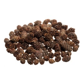 Pine Cones | 150 Small Pine Cones 3/4"-1 1/4" | 10 oz Mini Black Spruce Pine Cones | Pine Cone Filler