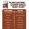 PLANTSTRONG Engine 2 Firehouse Chili Soup - Organic, Plant-Based, Non-GMO,