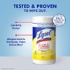 Lysol Disinfectant Wipes Bundle, Multi-Surface Cleaning Wipes, For Disinfecting &