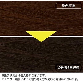 Henna no Izumi 3.5 oz (100 g), Black, Henna Color Powder, EcoCERT Certified Ingredient, Organic Henna for Natural Gray Hair Dyeing