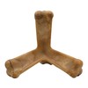 N-Bone Quado Interactive Chew, Pumpkin Flavor, Average Joe, 2.8oz