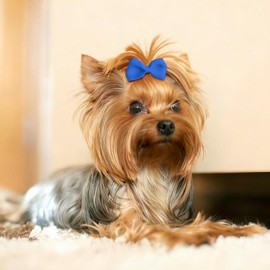 IAXSEE 60 PCS Puppy Dog Bows with Rubber Bands Cute Small Hair Accessories Bow Pet Grooming (20 Colors x 3)