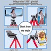 YOUNEEDFUL Mini Portable Phone Tripod Stand with Flexible Legs (Black)