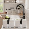 FORIOUS Kitchen Faucet with Pull Down Sprayer, Classic Matte Black,
