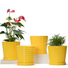 Ton Sin Plant Pots, 6 Inch Flower Pots for Plants,Ceramic Planter with Drainage Holes,Indoor Planter Pots with Saucer,Outdoor Garden Pots (Yellow, 4 Pack)
