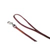 Alvalley Show Snap Dog Leash – Braided Nylon Dog Training