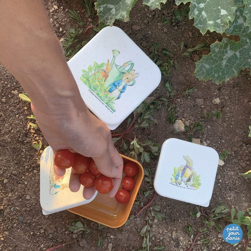 Peter Hase - Set of 3 Lunch Boxes BP994P