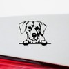 Decal Stickers of Rhodesian Ridgeback Peeking (Black) (Set of 2)