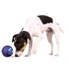 Trixie Dog Activity Plastic Snack Ball, 7 cm Diameter