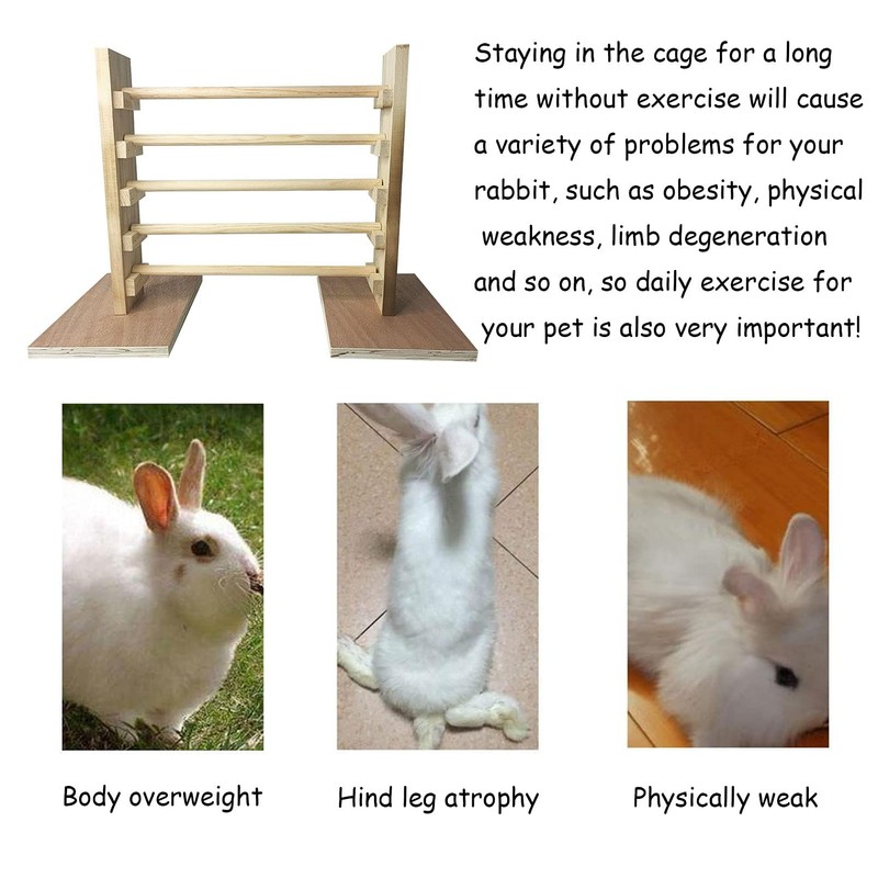 kathson Rabbit Jump Bar, Natural Wood Toy Set Adjustable Height