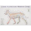 Canine Meridian Acupressure Chart