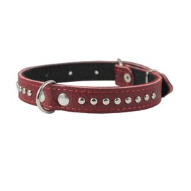Genuine Leather Studded Padded Dog Collar 15" x5/8" Wide Fits 10"-13" Neck, Pomeranian, Chihuahua, Puppies