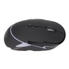 Wireless Gaming Mouse 3 Level Adjustable DPI RGB Color Backlit