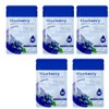 5 pcs Blueberry Mask, Moisturizing face masks for dry skin