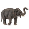 CollectA Asian Elephant