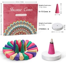 SCENTORINI Incense Cones, Assorted Scented Incense Cones with Holder, Incense Variety Pack Gift Set, Rose, Sage, Lavender, Violet, Cinnamon, Eucalyptus, Sandalwood, Rain Forest, 120 Cones Total