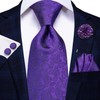 Hi-Tie Ties for Men Pocket Square Cufflinks Lapel Pin Mens