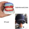 Angzhili 84 Pcs Dental Acrylic Resin Denture False Teeth 3