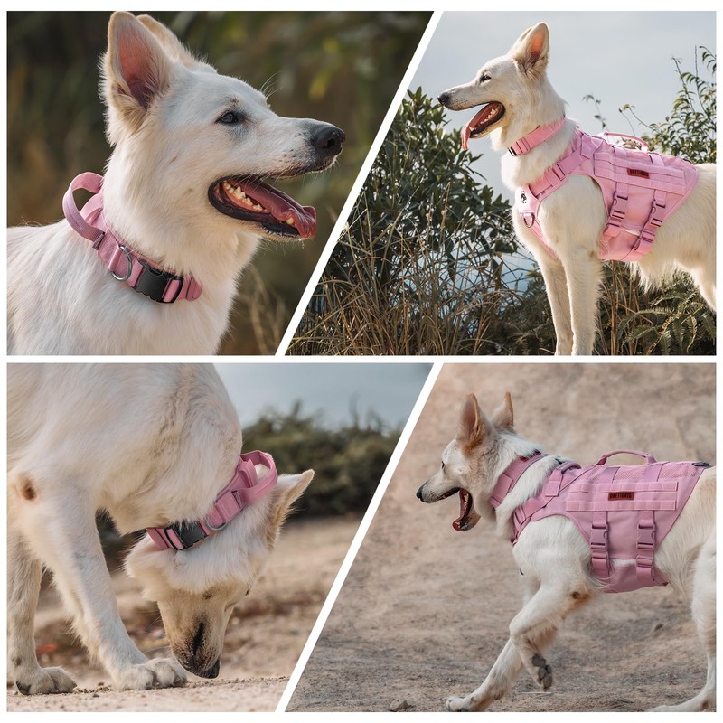 Tough Dog Collars, Tactical Dog Collar with Handle, Milltary Adjustable